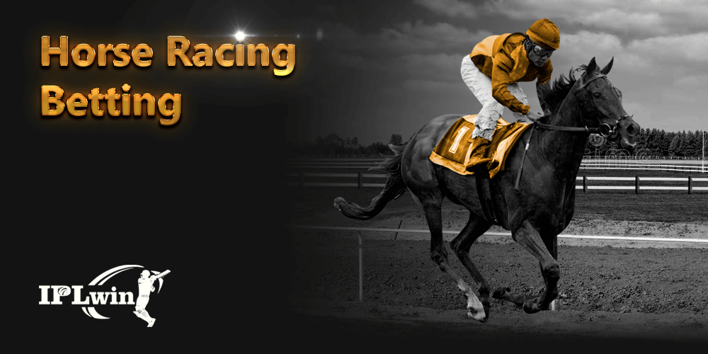 Sports betting