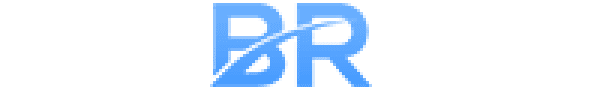 Webflash boleto - Buracobet
