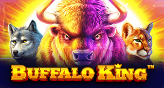 Site de apostas blaze
